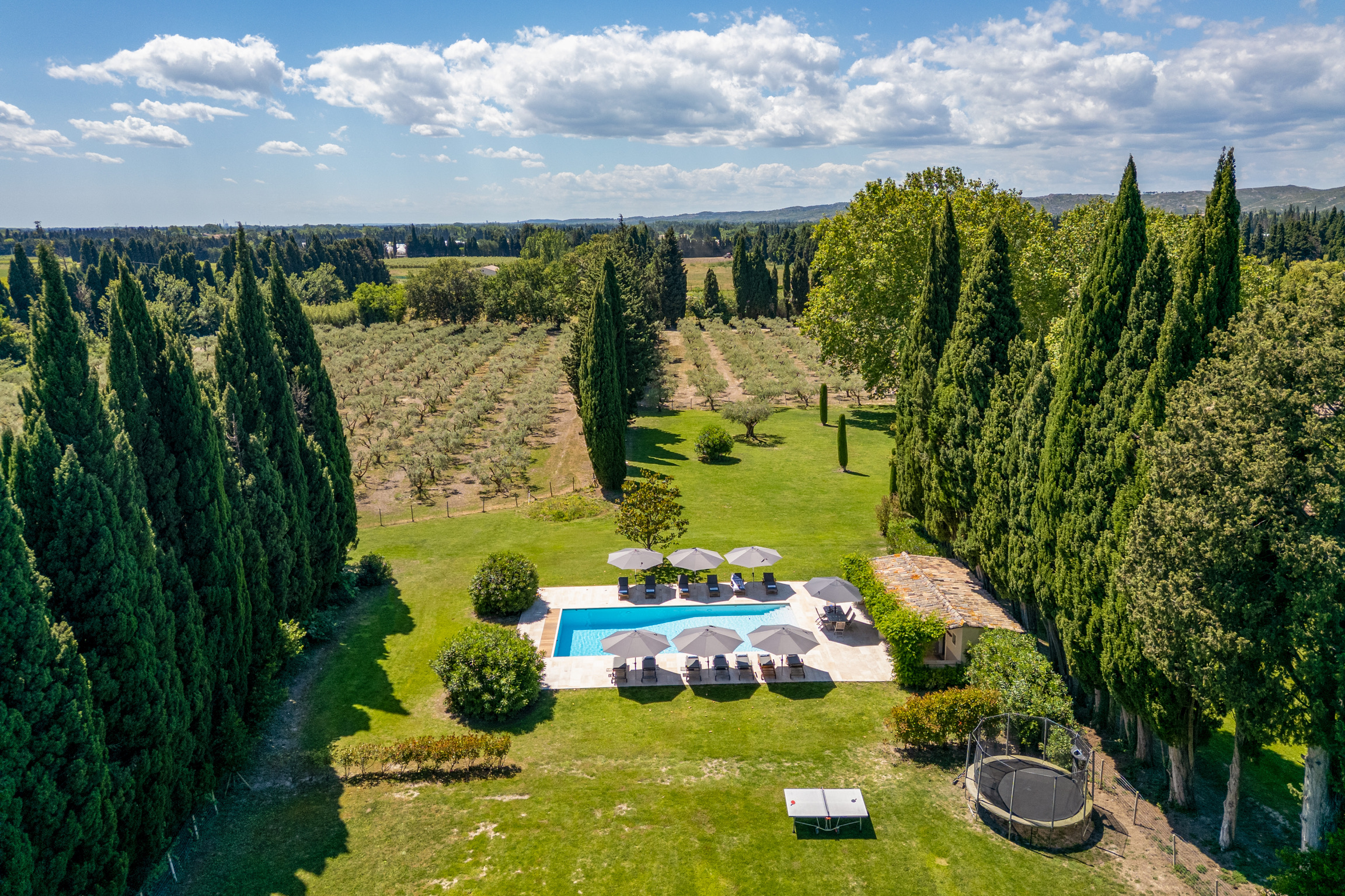 Aerial Pool & Garden