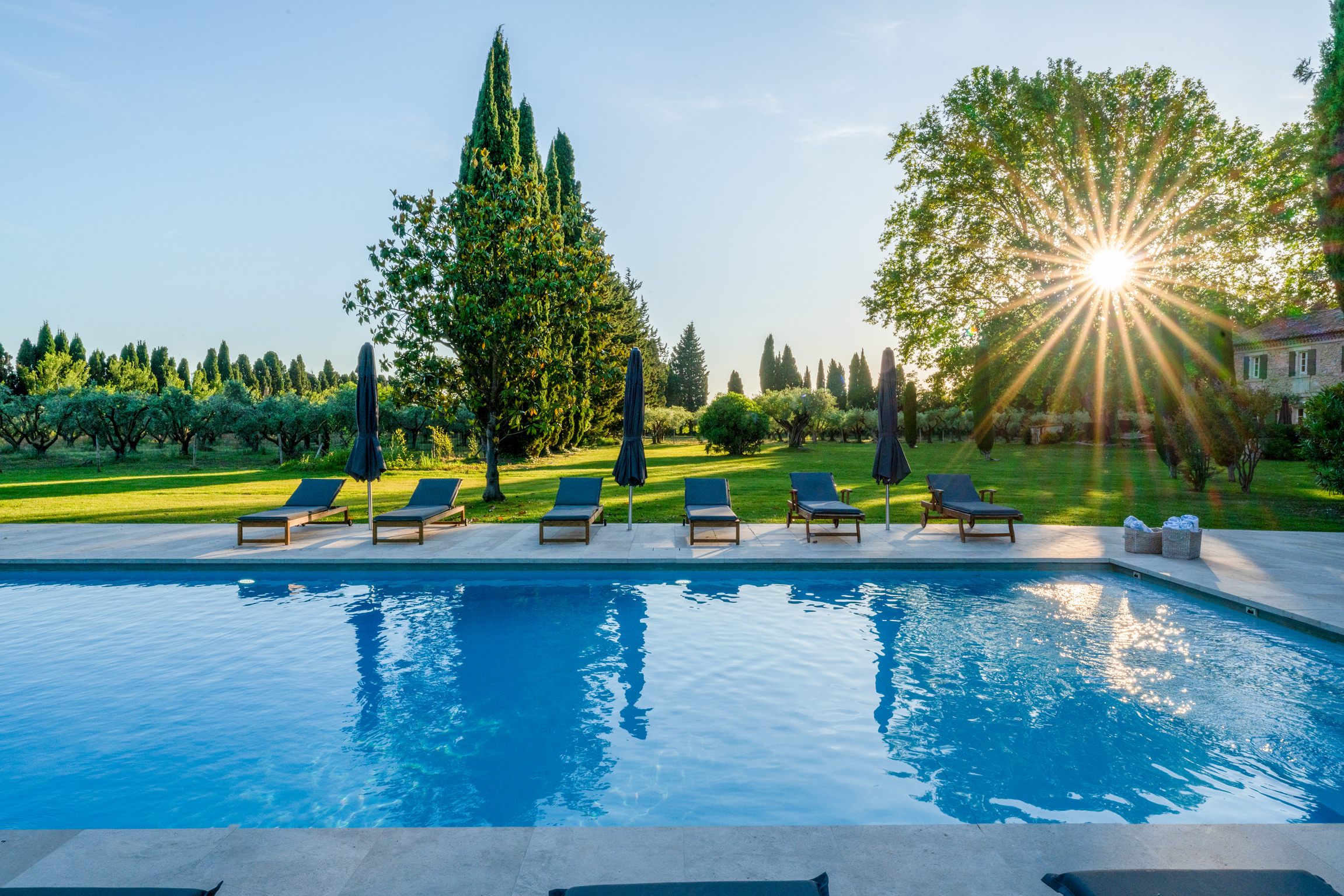 Swimming pool and lawn at golden hour